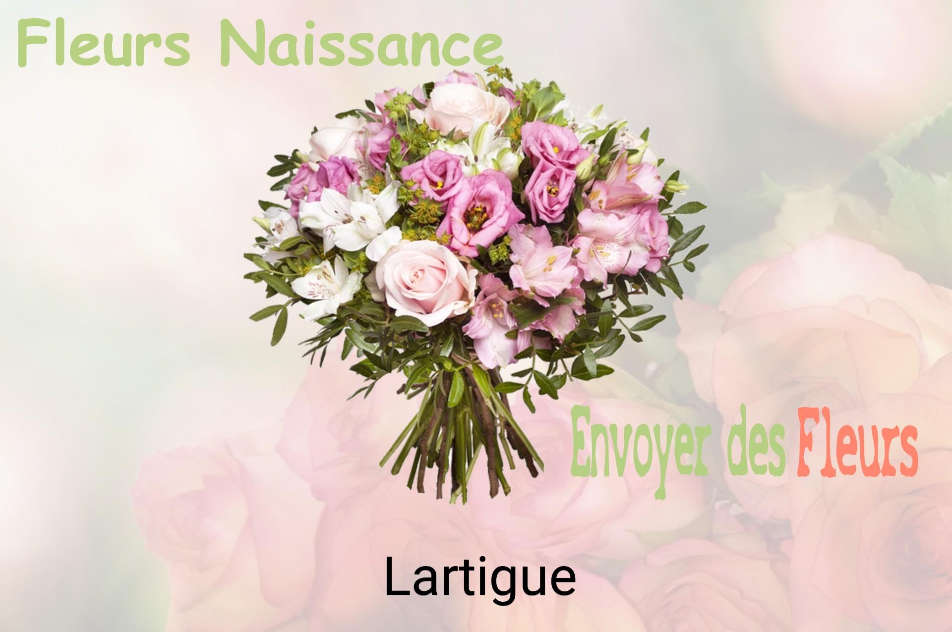 Bouquet de fleurs de naissance livré à Lartigue